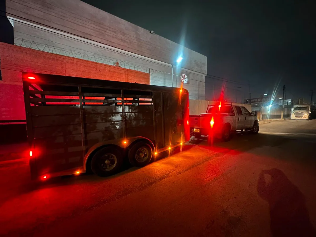 Cae hombre con dos pistolas y 325 cartuchos en la carretera Saltillo-Matehuala
