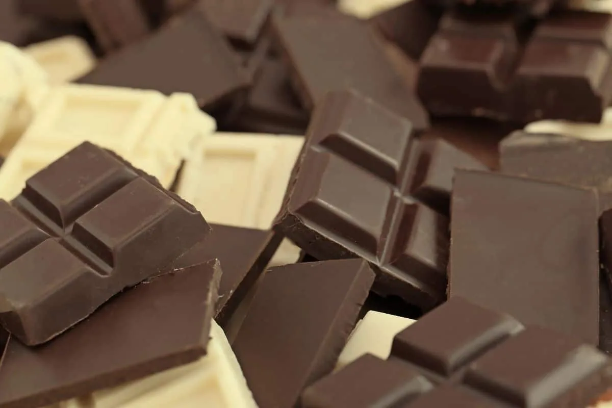 Oscar do Chocolate: 10 marcas brasileiras ganham medalhas