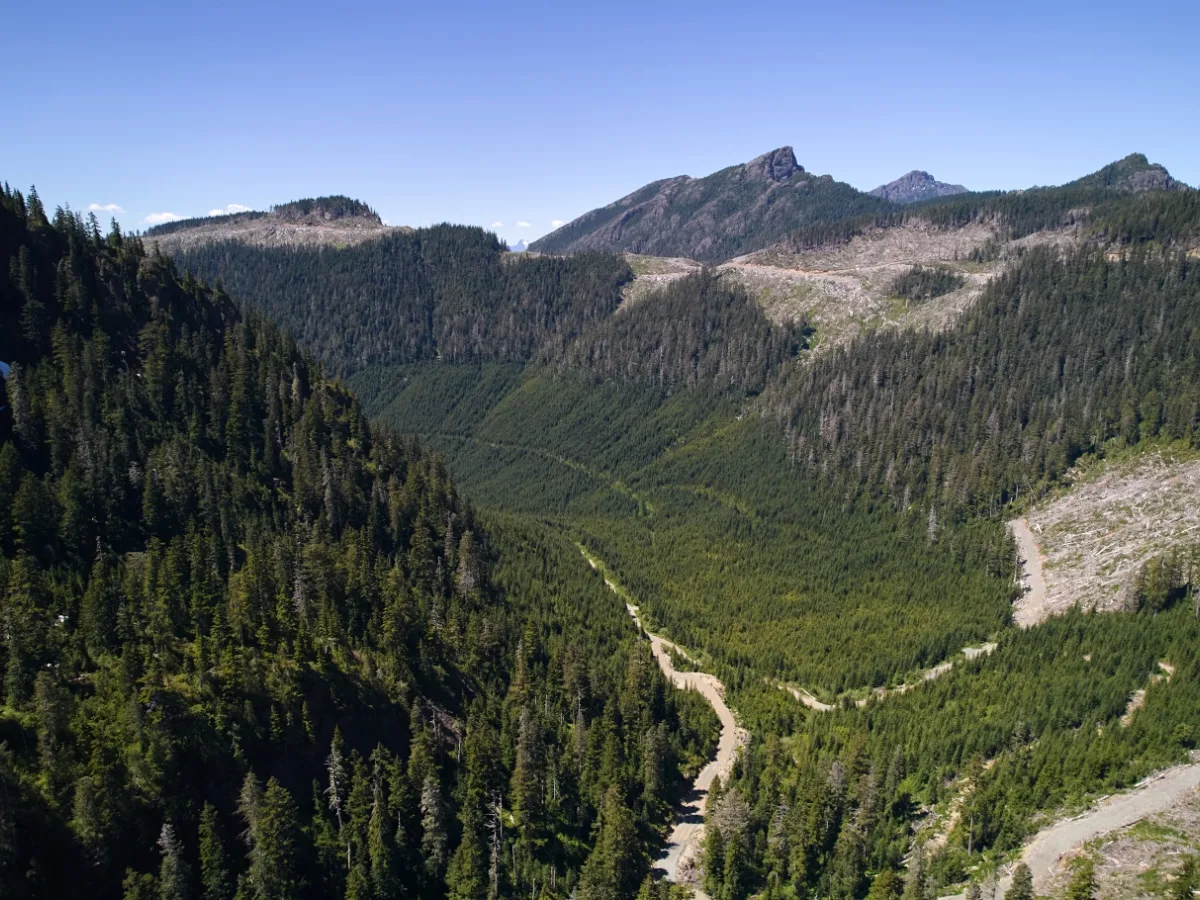 Will BC’s Land Zoning Plan Protect More Forests?