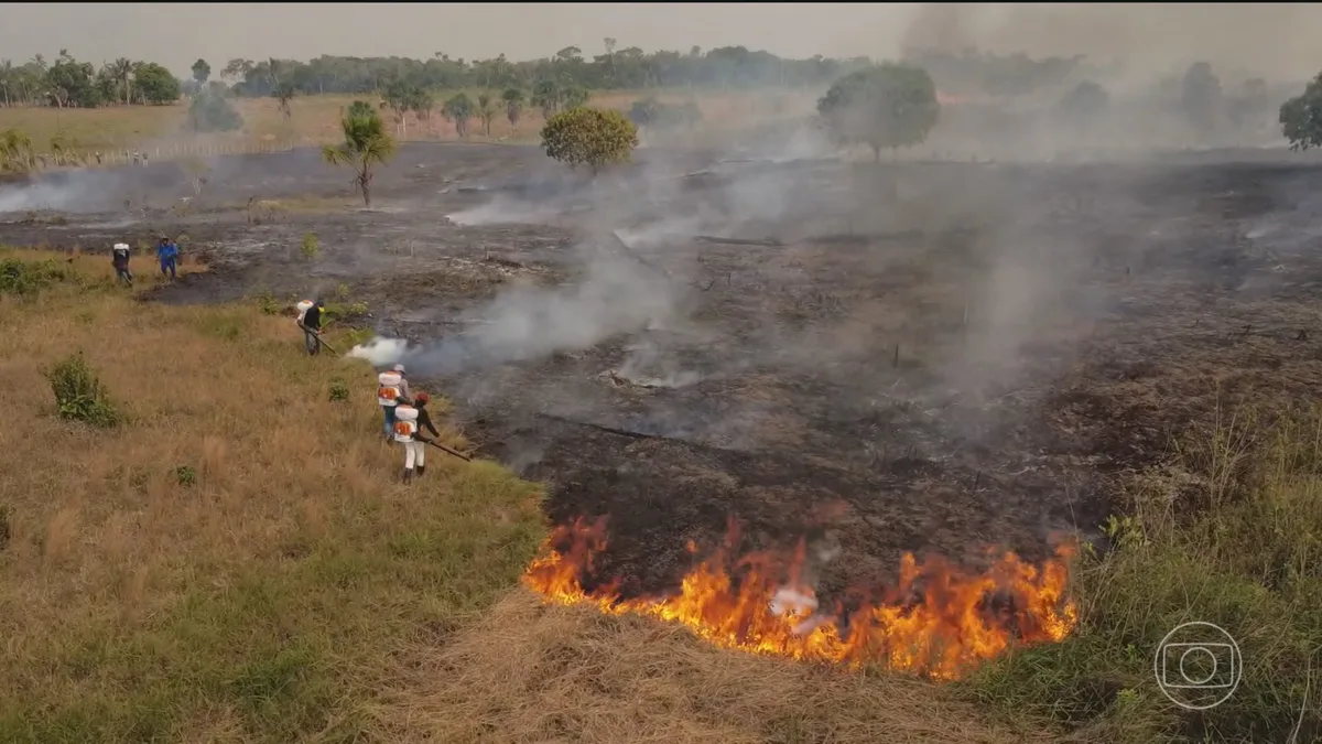 Falta de chuvas agrava incêndios no Amazonas; fumaça já afeta mais de 20 cidades, incluindo a capital