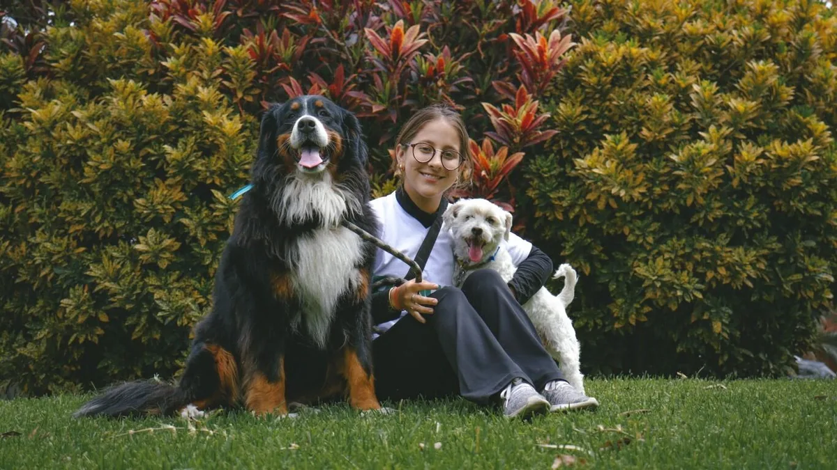 Un estudio científico asegura que los adolescentes con perros tienen una ventaja fundamental para la vida adulta