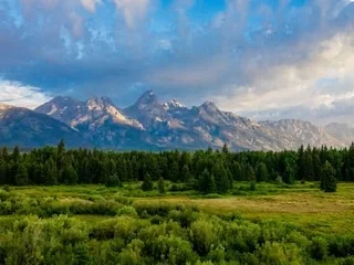 Aux États-Unis, 18 millions d’hectares de forêts privés de leur protection