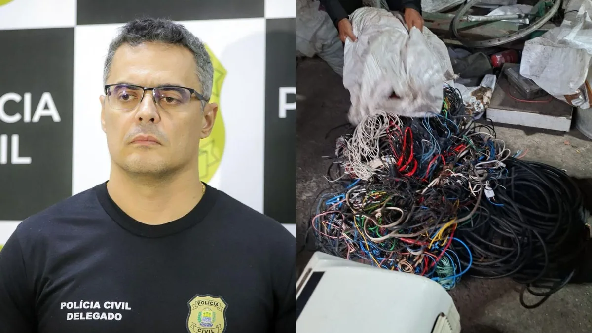 Delegado é mordido por cachorro durante operação contra receptação de metais em sucatas de Teresina; vídeo