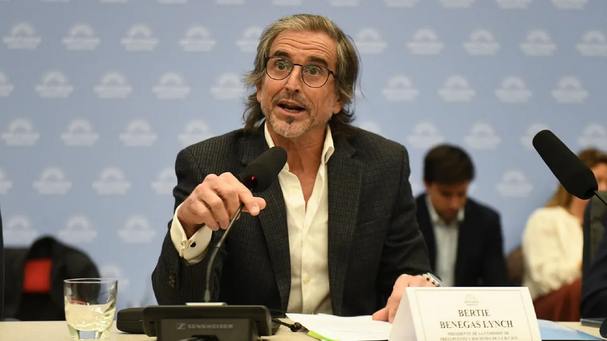 Benegas Lynch se quejó porque piden rescatar “al tipo que compró una TV y, como Argentina no ganó el Mundial, no quiere pagar ”