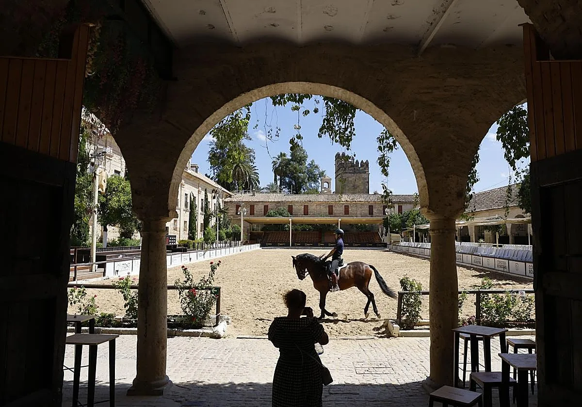 Las obras del Centro Internacional del Caballo en las Caballerizas, de Córdoba, a principios de 2027