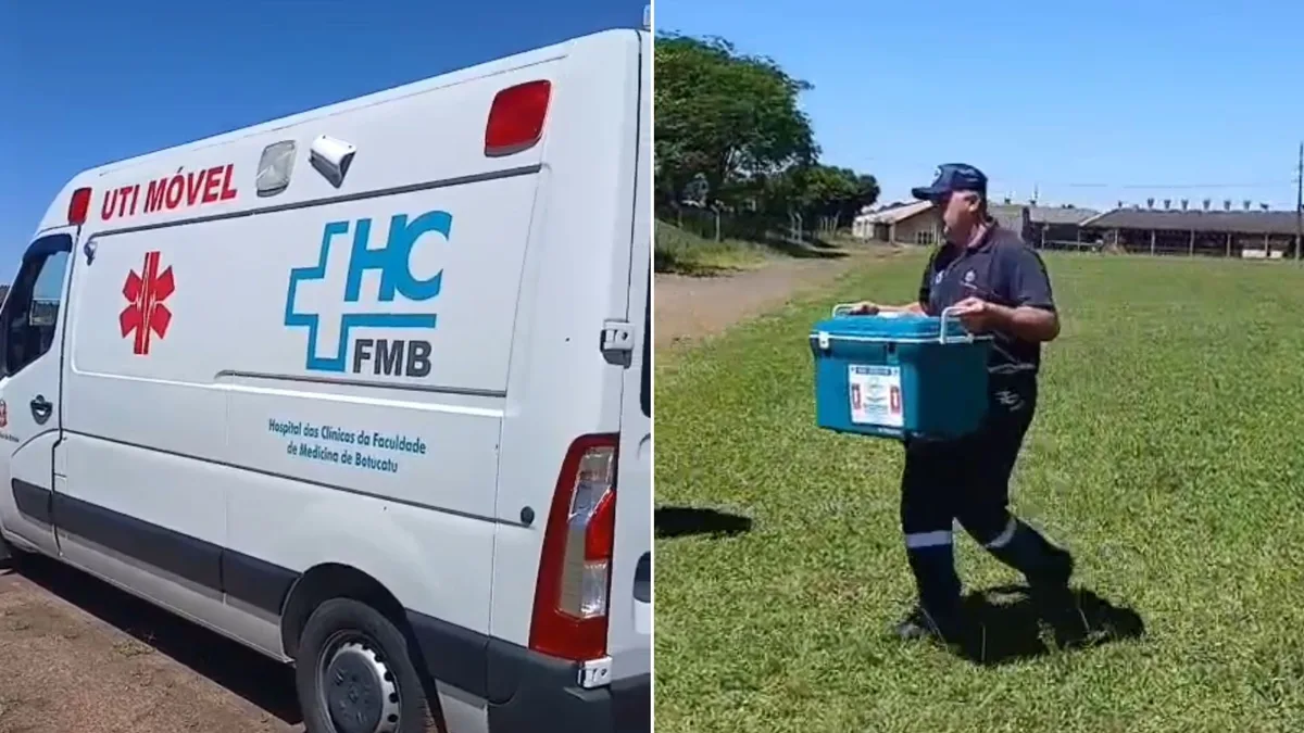 Helicóptero Águia é mobilizado para levar coração a paciente que aguardava transplante no interior de SP