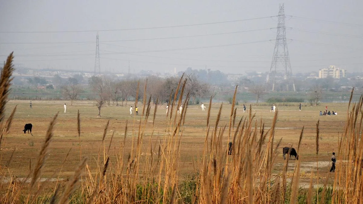 Yamuna floodplains: Supreme Court sets aside NGT order against Art of Living; directs DDA to refund ₹5 crore