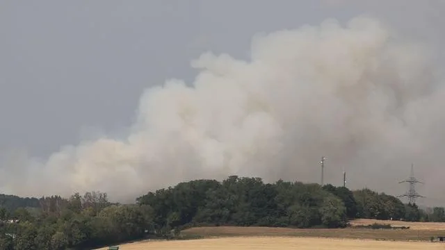 Brände: Waldbrand im Saarland unter Kontrolle