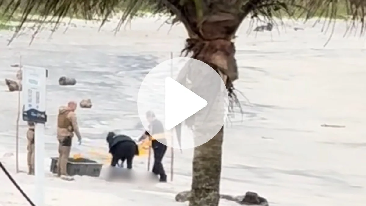 Corpo é encontrado na areia de praia famosa por colecionar Bandeiras Azuis em SC; veja vídeo