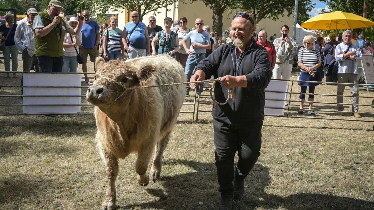 Tradition: Historisches Erntefest mit Tieren, Dampfpflug und Erntekorso
