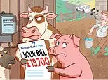 My electricity bill is £200 but British Gas took £19,700 from my account and a month later they hadn't paid me back: SALLY SORTS IT