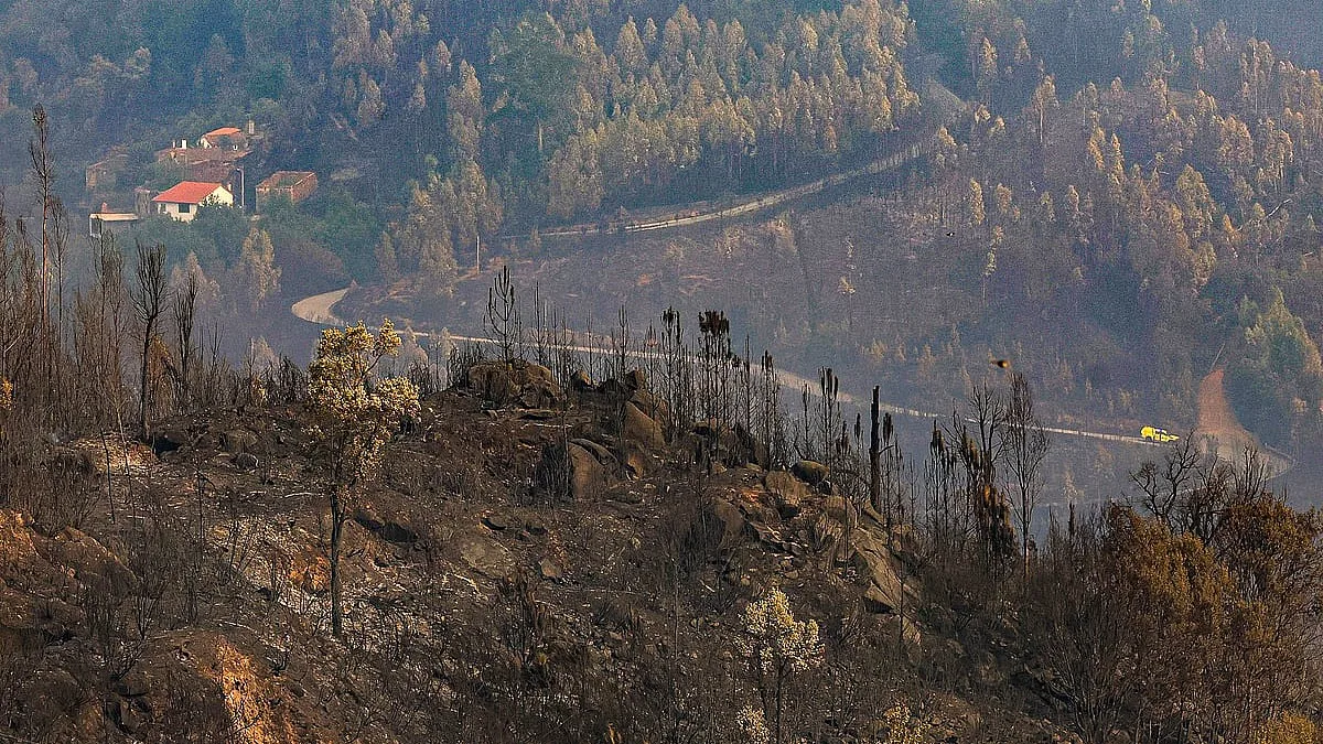 Até final de agosto, área ardida em Portugal cai 74% face ao ano passado
