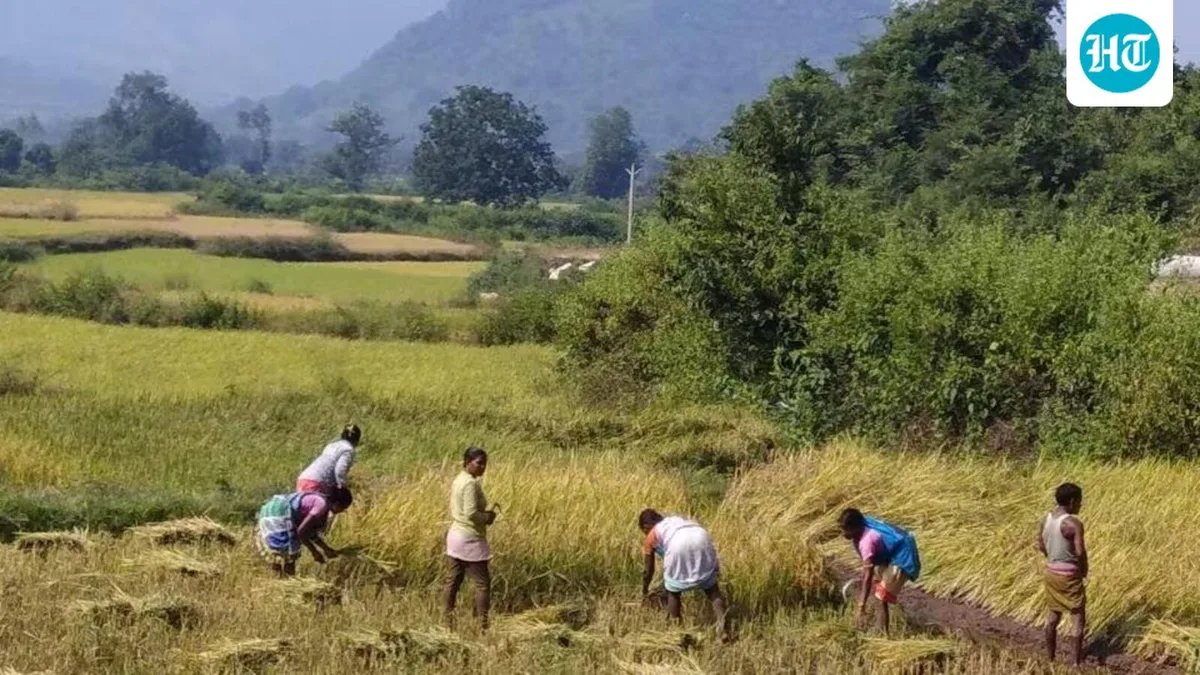Odisha plans to scrap revenue clearance for urban land-use conversion