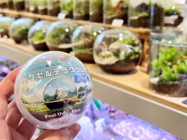 Japanese gacha machine in Shibuya now sells tiny capsule terrariums