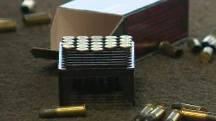 Cyberattaques: les données volées pourraient-elles servir à cibler les détenteurs d'armes ?