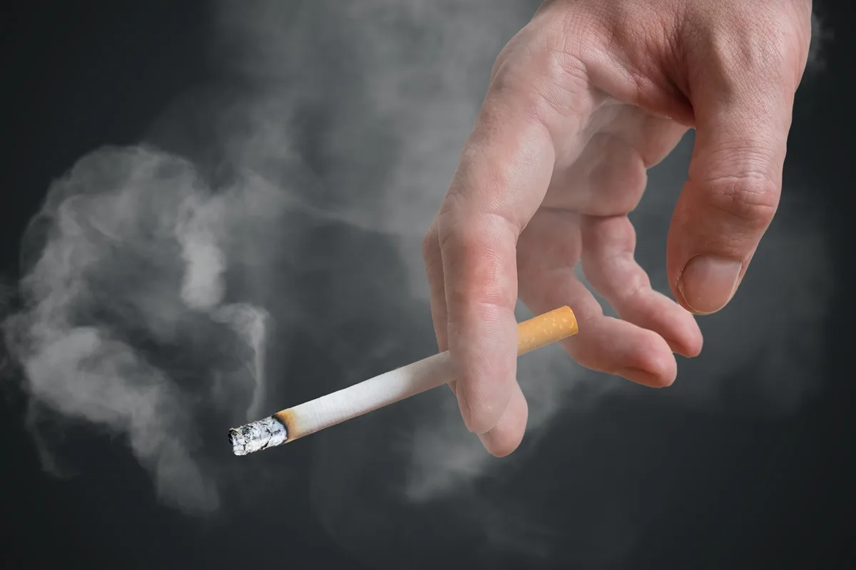 Fumo passivo pode causar câncer e outras doenças graves em pets