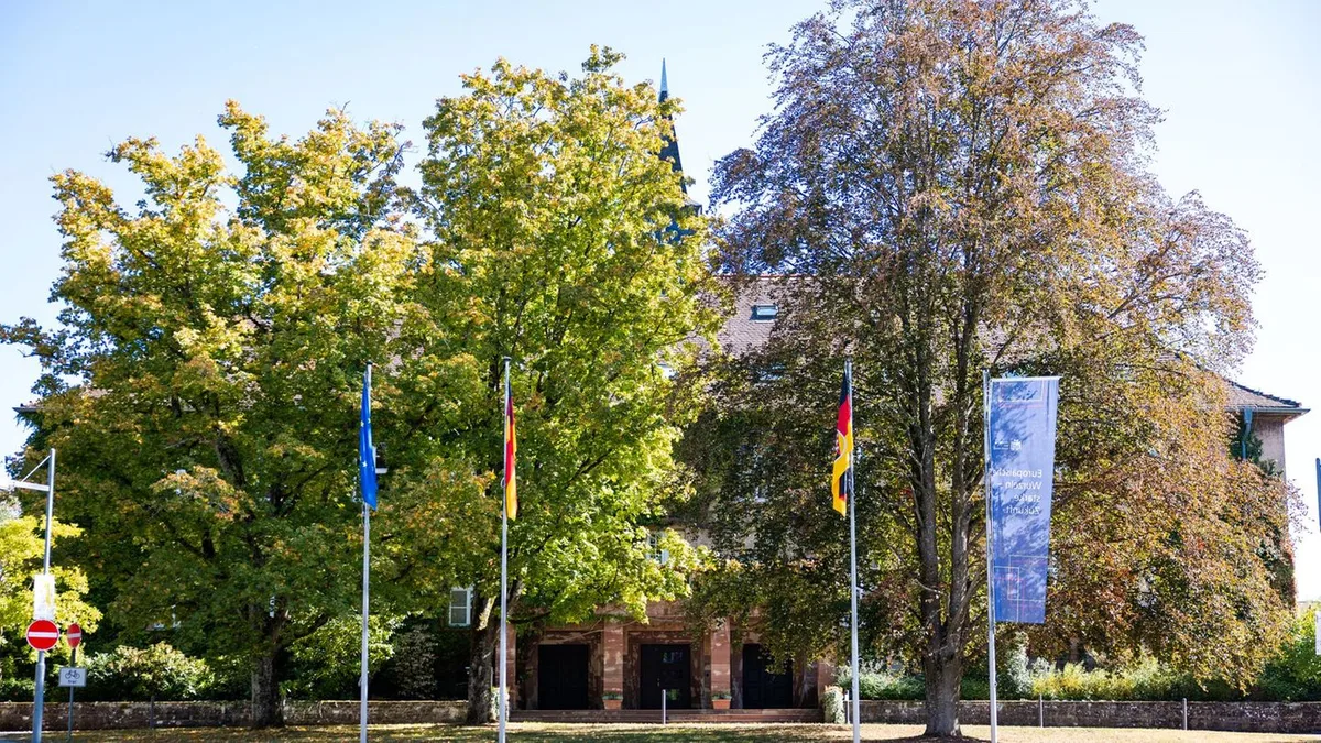 Studium: Mehr internationale Studierende an Uni des Saarlandes