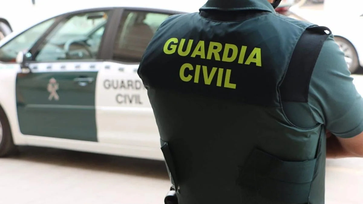 Detenido por decapitar más de 100 aves en un pueblo de Castellón