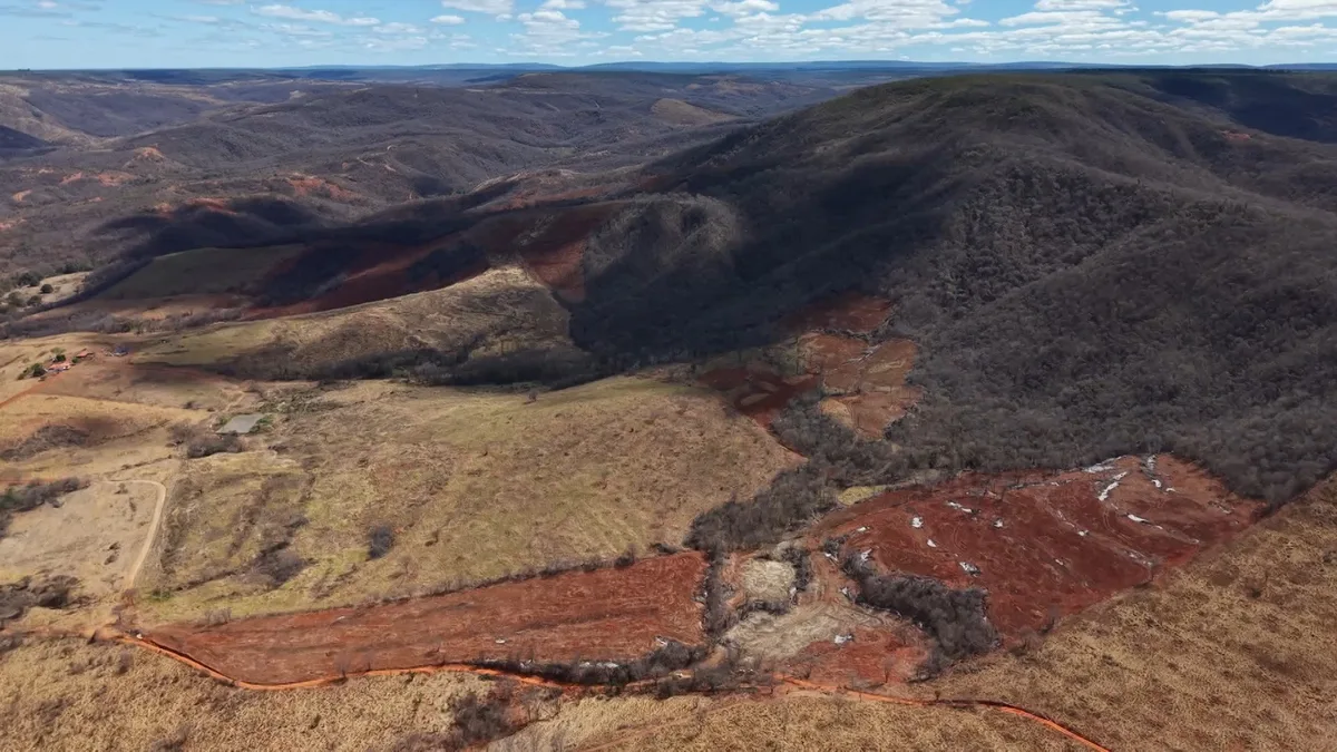 Desmatamento ilegal destruiu área equivalente a mais de 4 mil campos de futebol em MG, aponta operação