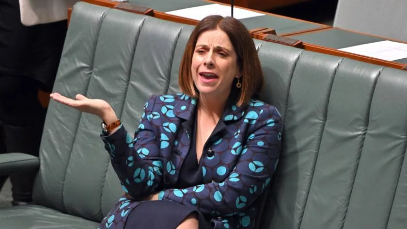 Albanese government pushing for crackdown on social media algorithms
