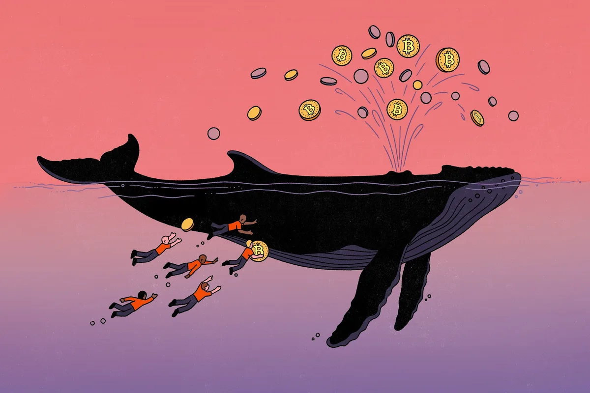 The People—OK, the Men—Who Still Love Bitcoin
