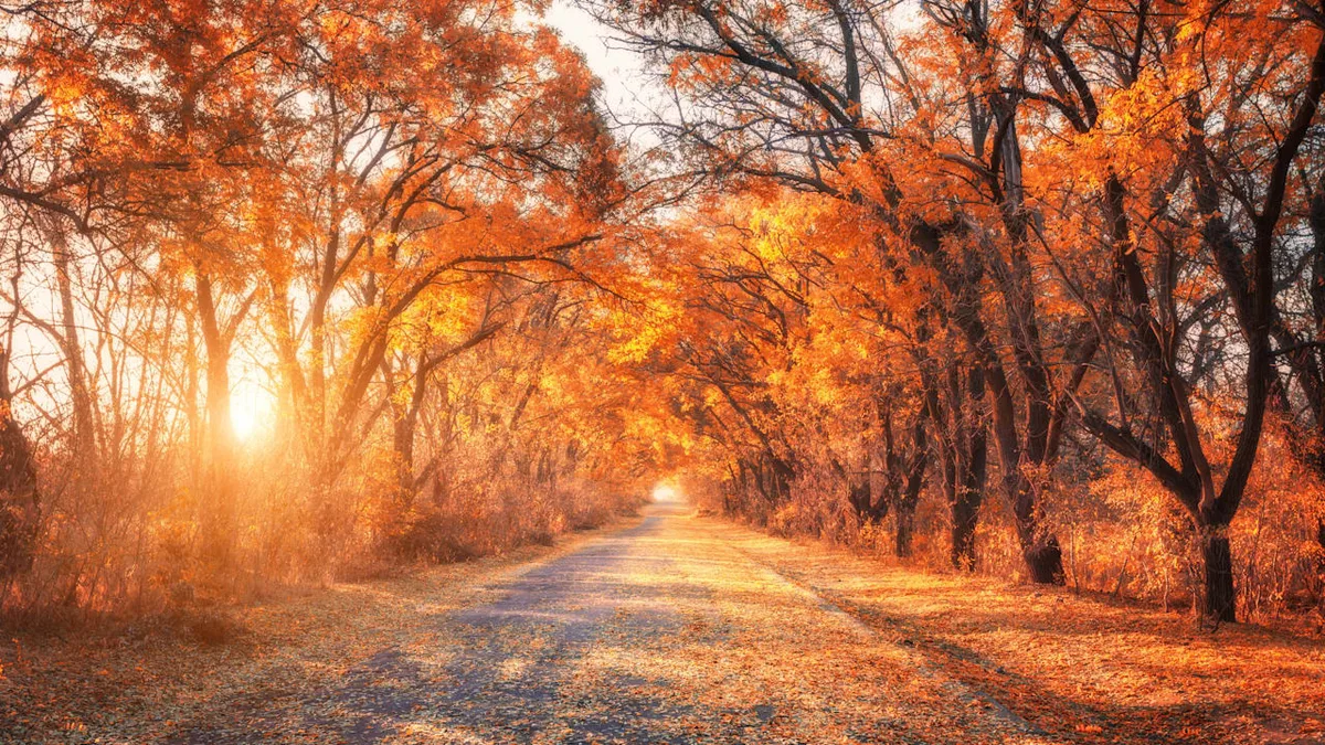 Feiertage, Rezepte, Haushalt - Das sollten Sie im Herbst nicht verpassen