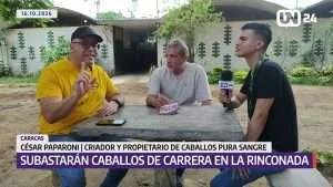 La Rinconada será sede de tres subastas de caballos de carreras