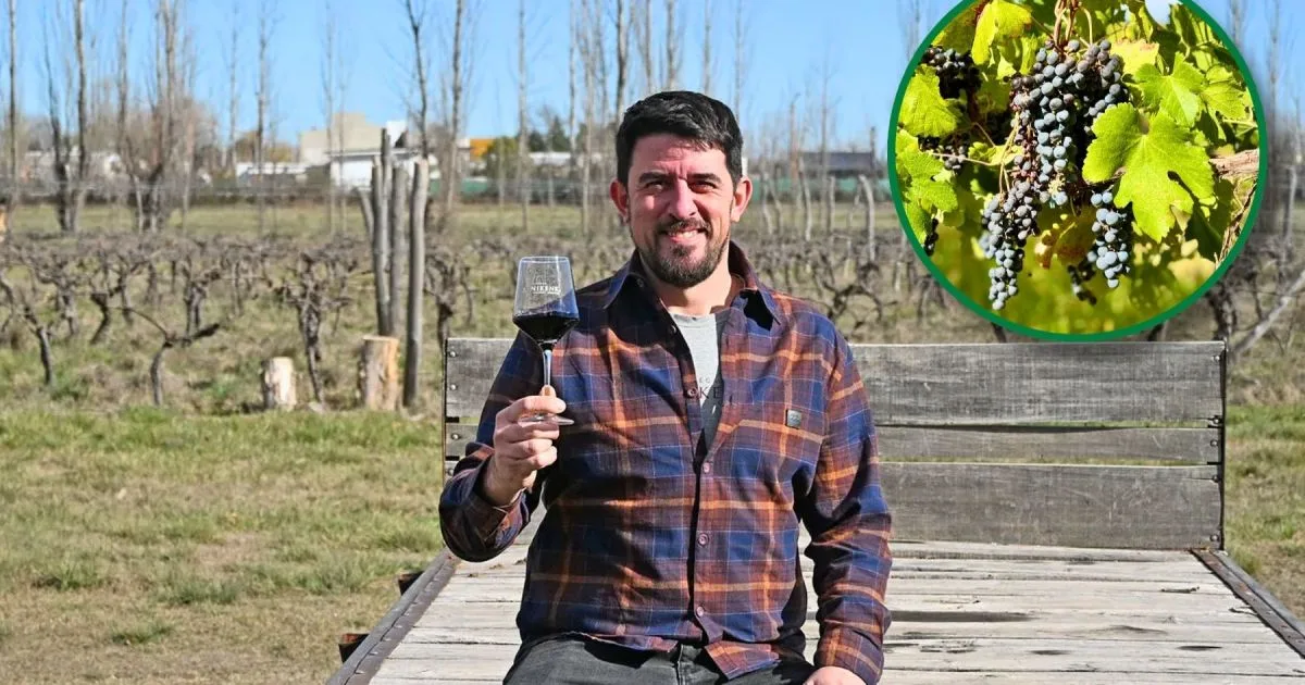 Compraron una chacra en la Patagonia donde se cultivaba lúpulo, plantaron 8 hectáreas de viñedos y hoy elaboran 40.000 litros de vino