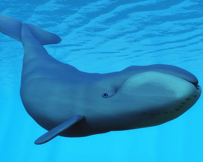 Trump officials move to dismantle key protection for US endangered species