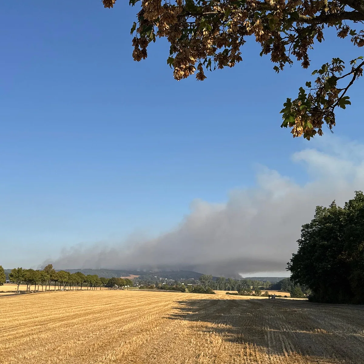 Brandgeruch - Umweltmedizinerin warnt vor Folgen von Rauchbelastung durch Waldbrände