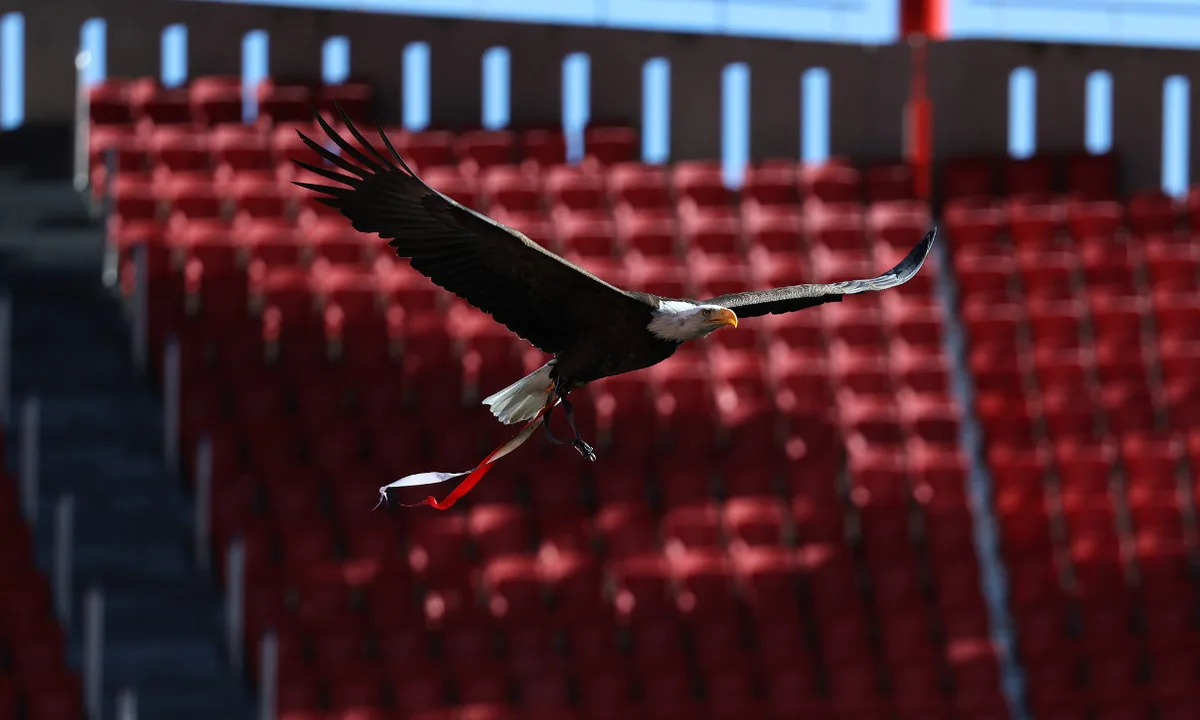 Falcoeiro que prestou serviços ocasionais ao Benfica detido em operação contra tráfico de droga