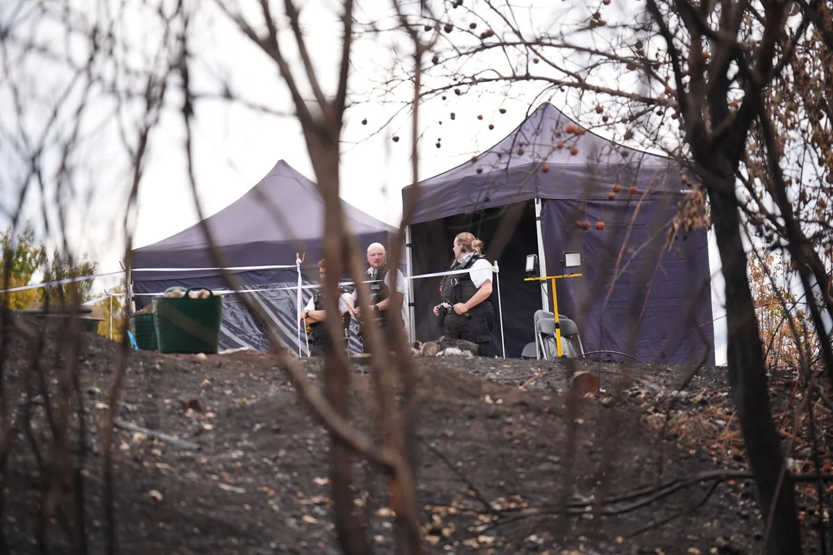 Murder probe launched after human bones 'uncovered by London wildfire'