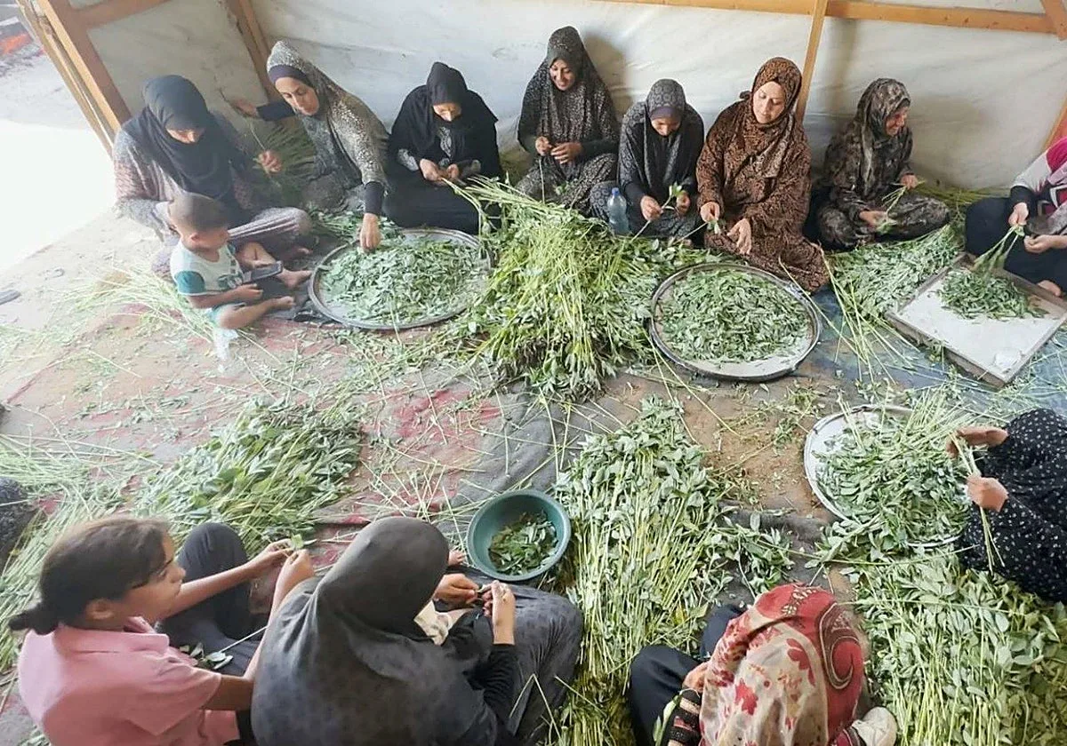 La Junta destina más de 500.000 euros a 22 proyectos de acción humanitaria en una decena de países