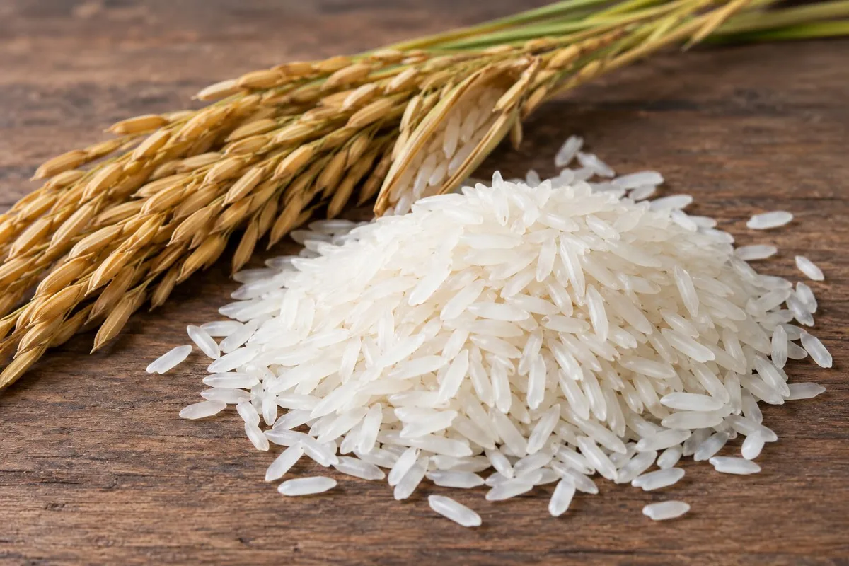 República Dominicana reduce las importaciones de arroz ante el aumento de los inventarios locales