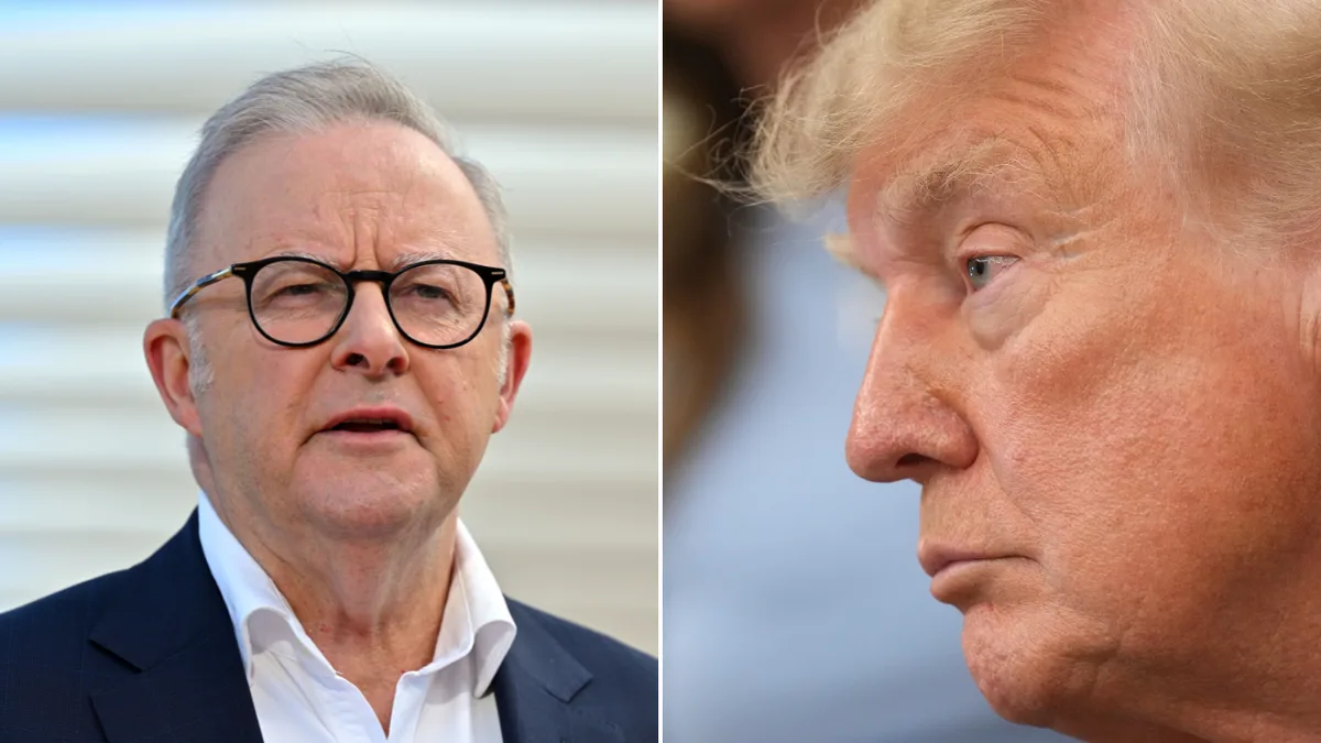 Albanese to push Trump to back major AI slowdown on sidelines of United Nations