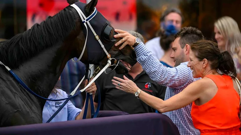 Queensland trainer takes aim with Cosmic Fire at Sydney breakthrough
