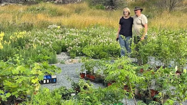 N.L. couple donates hundreds of trees to Conception Bay North one year after wildfires