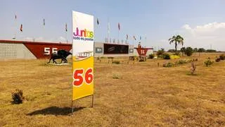 5y6 de Valencia este sábado: La línea y combinación clave para armar el cuadro ganador