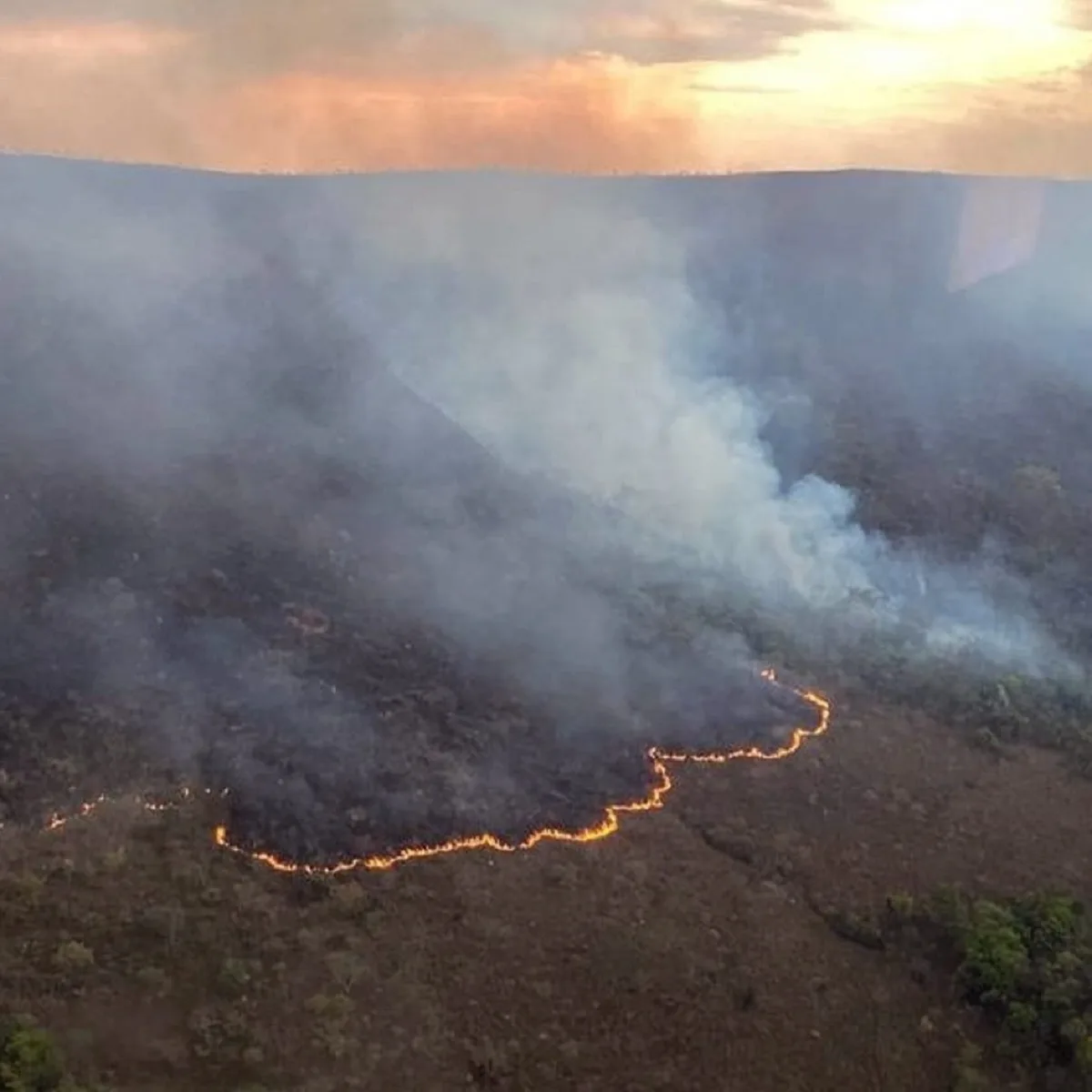 Incêndio de grandes proporções avança em serra entre Jacobina e Caém