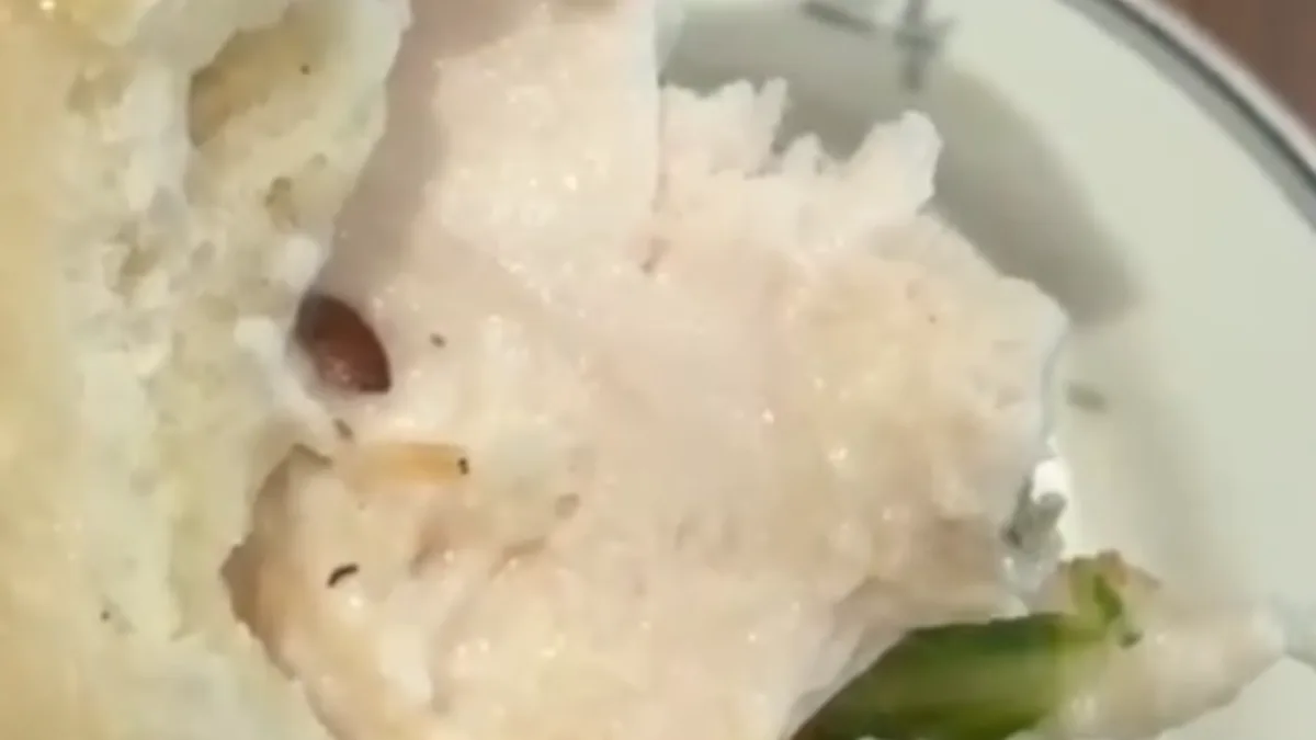Customer finds live worm in food at Gurgaon restaurant - video
