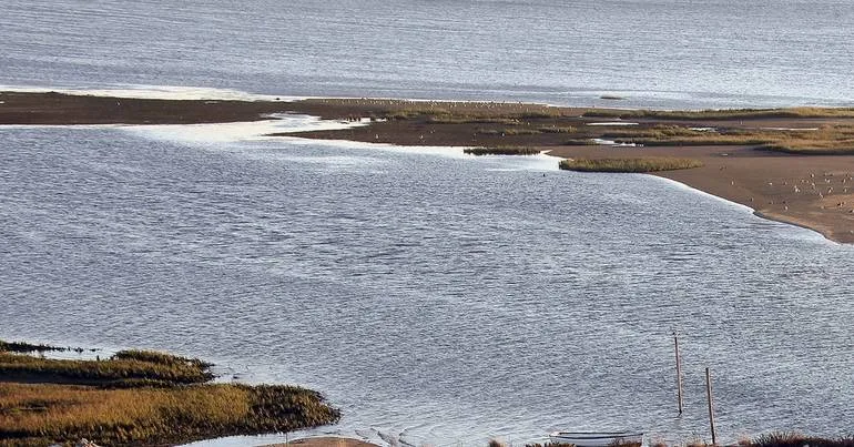 Leilão de "ilha" privada na ria de Aveiro termina sexta