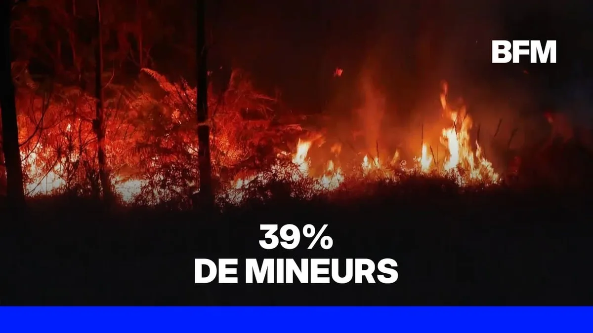 Incendies: 474 personnes interpellées pour avoir déclenché des feux depuis le début de l'été