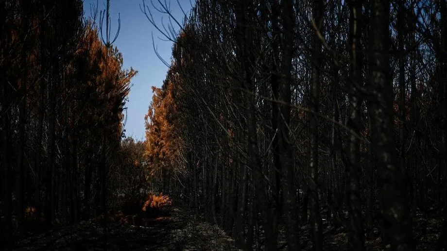 Incendies : "Entre moins 50 et moins 70%" de fréquentation, déplore le syndicat de l'hôtellerie de plein air de Gironde