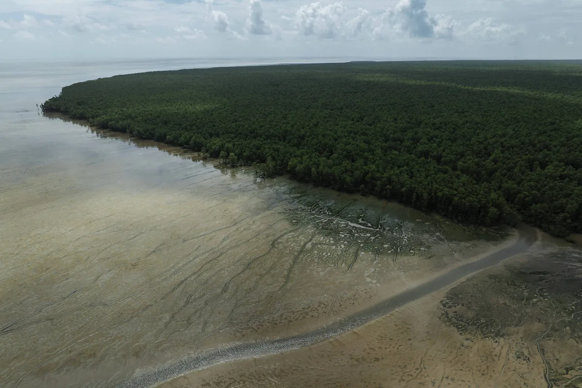 Petrobras diz que eventual vazamento de óleo passaria a 60 km da costa amazônica, mas vigiará parque