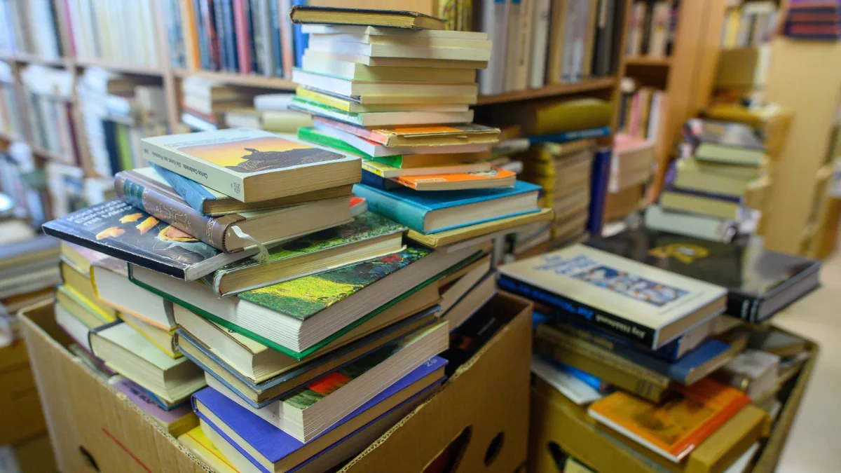 Bücher: KI-Firmen kaufen deutsche Antiquariate leer