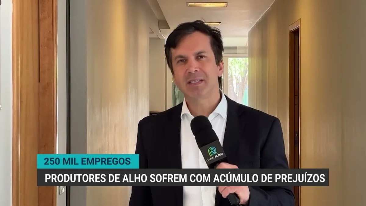 Produtores de alho enfrentam crise e ameaçam 250 mil empregos no Brasil
