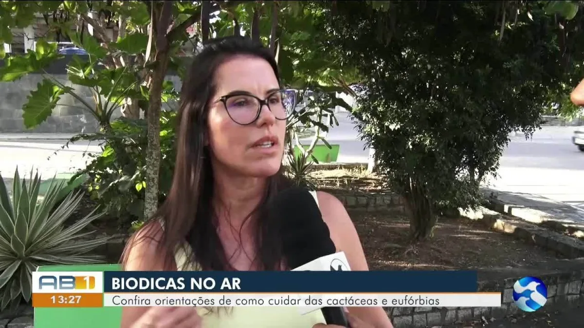 VÍDEOS: AB1 de sábado, 19 de setembro de 2026