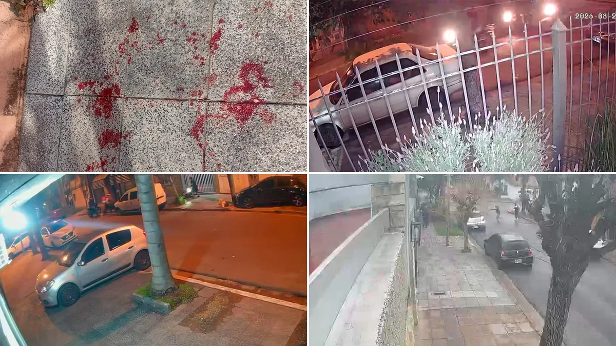 Los videos de una seguidilla de robos que alarma a los vecinos de Ramos Mejía: “Más que cansados, estamos preocupados”