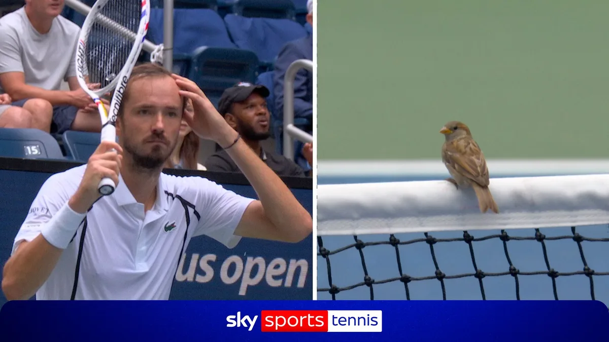 Medvedev FUMES as birds halt play!