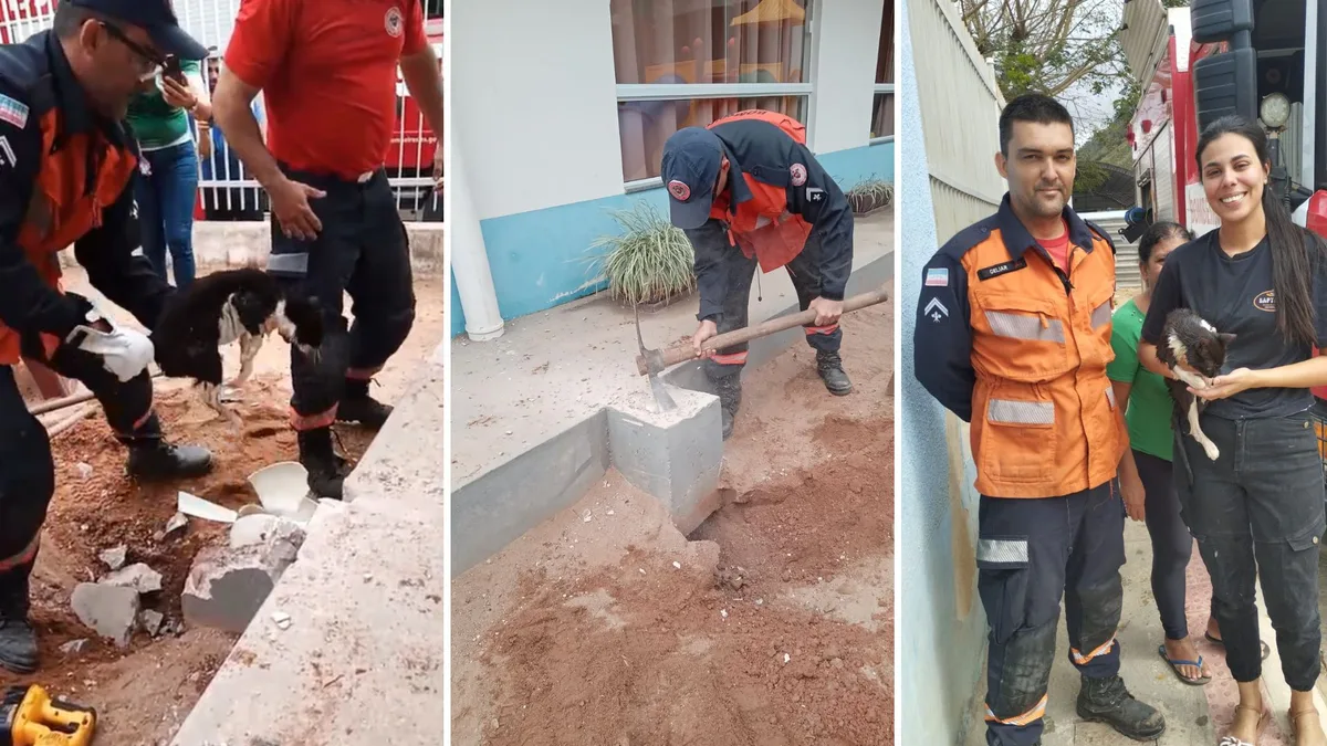 Gata é resgatada após três dias presa em cano de creche em Muniz Freire